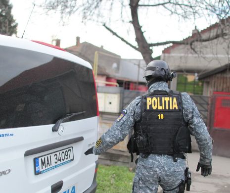 PERCHEZIȚII la MAFIA LEMNULUI din Iablanița. Au prejudiciat statul cu peste 1 milion de euro