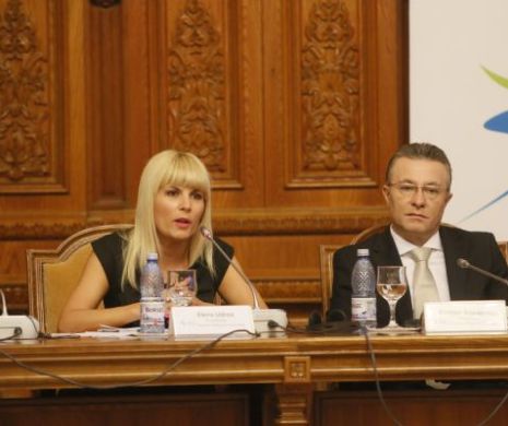 Prezidențiabilul PMP, ales între Udrea și Diaconescu
