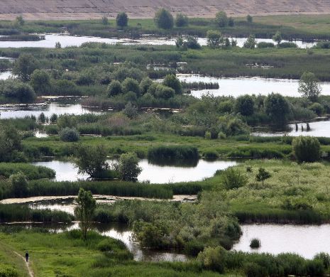 Primria vrea acvariu în Delta Văcărești, Korodi spune „Nu”