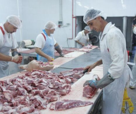 Rusia suspendă ce nu avea: importurile de vită din România