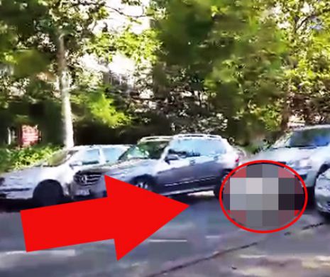 S-a intamplat in miezul zilei! Soferilor nu le-a venit sa creada ce monstru a aparut pe un bulevard din centrul Capitalei
