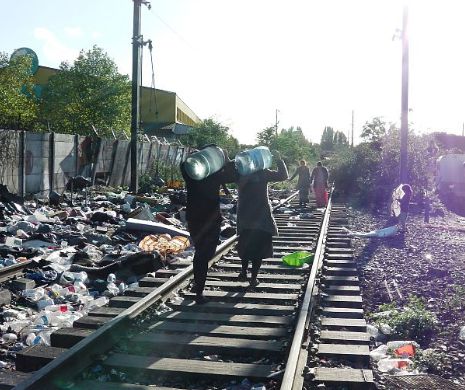 Soluţia INCREDIBILĂ găsită de un fermier pentru a scăpa de ROMII care i-au INVADAT pământurile | FOTO
