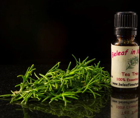 Uleiul din arbore de ceai, cea mai bună armă contra acneei