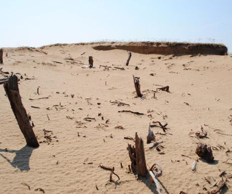 Un avion ucrainean cu şapte persoane la bord s-a prăbuşit în Sahara. Nu se cunoaşte soarta psagerilor