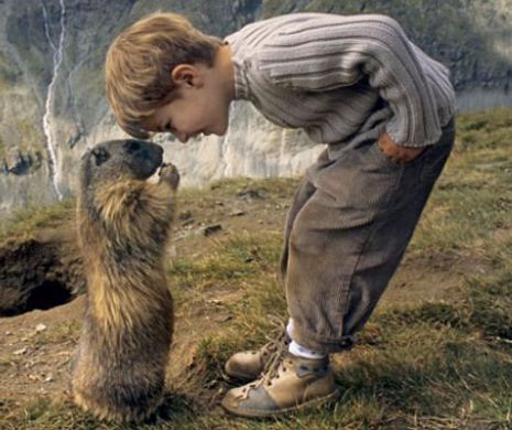 A reuşit să facă un lucru pe care niciun alt om nu a putut să îl facă: UIMITOAREA prietenie dintre un puşti şi animale ROZĂTOARE | GALERIE FOTO