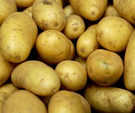 Alimente banale care te pot omorî pe loc dacă nu le consumi corect