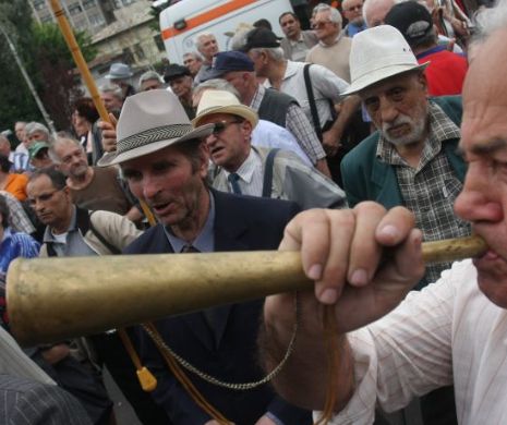 Aviatorii își cer în stradă pensiile speciale