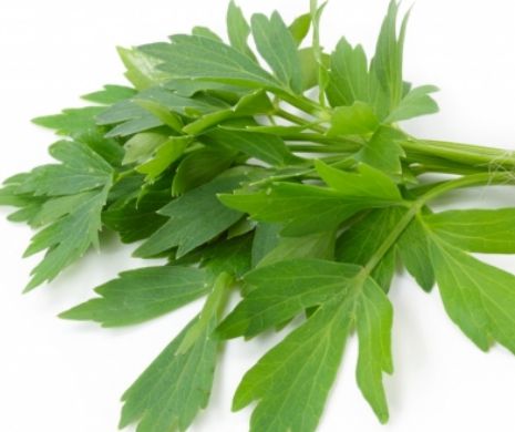 Efecte uimitoare. Ce se întâmplă dacă mănânci leuștean?