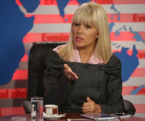 Elena Udrea: Vasile Blaga este groparul PDL