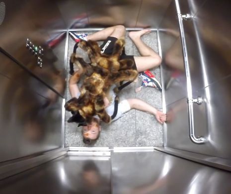 Farsă absolut ÎNFRICOŞĂTOARE. Scenariul desprins din FILMELE DE GROAZĂ | VIDEO