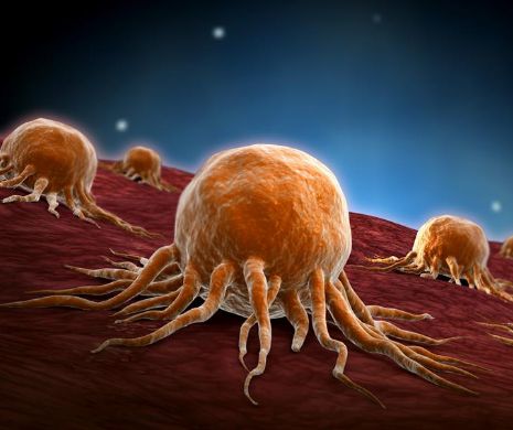 FRUCTUL MINUNE CARE COMBATE CANCERUL