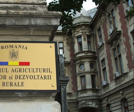 Jurnalistă B1 TV, agresată de polițiștii locali care păzesc Ministerul Agriculturii