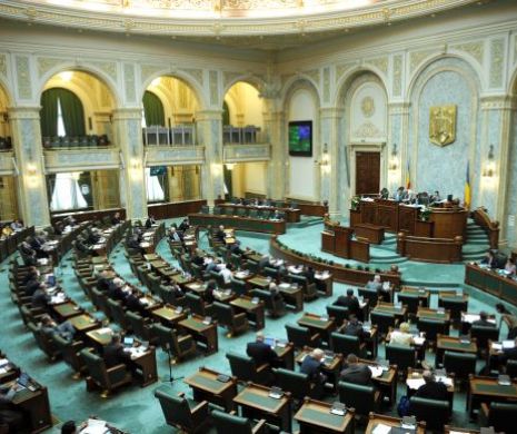 Senatul a adoptat proiectul privind amnistierea fiscală a mamelor