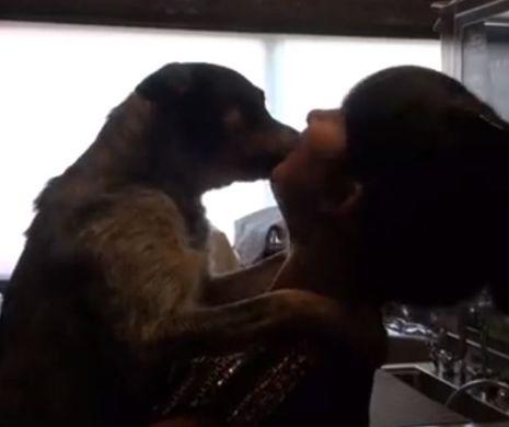 Transformare MIRACULOASĂ. A fost salvat după ce a trăit UN AN printre gunoaie, sub un TOMBERON | VIDEO