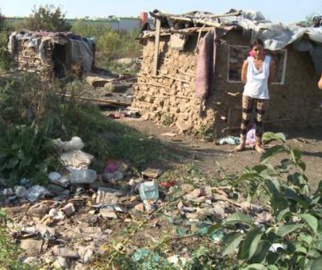 350.000 de euro FALȘI, găsiți în COLIBA unui orădean. Bărbatul a încercat să-și cumpere mici cu o bancnotă de 50 de euro falsă