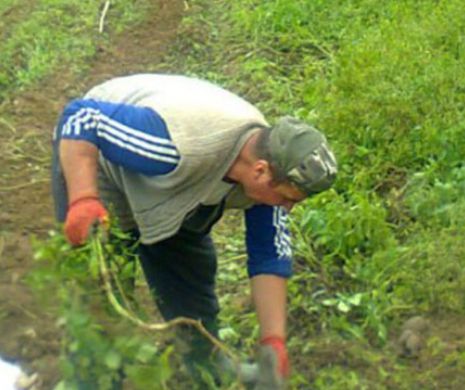 Aparitie SF in Dambovita! Ce a gasit un taran pe ogorul lui