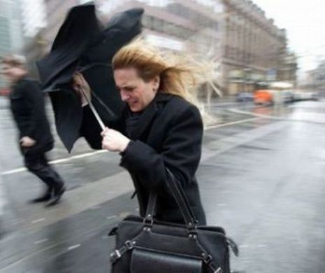 COD GALBEN de vânt în București și alte șapte județe