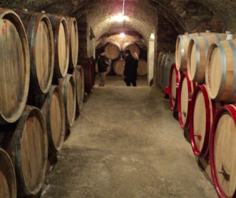 Concert NEOBIȘNUIT: percuție pe butoaie de vin