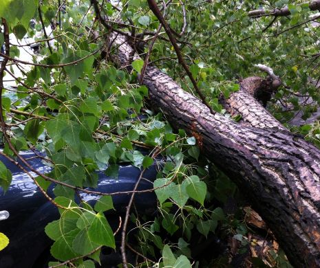 COPAC dobărât de vânt, în Capitală: Un autoturism a fost STRIVIT