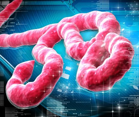 EBOLA, virusul inteligent ca un SUPER-ȘAHIST. Mutările prin care împinge organismul să se sincidă