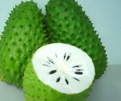 Fructul care distruge tumorile canceroase rezistente la chimioterapie