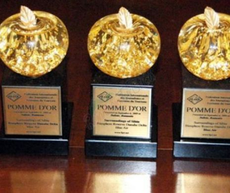 Gorjul, pe harta de aur a turismului mondial. Orasul lui BRANCUSI primeste maine OSCARUL TURISMULUI - "Mărul de Aur". Vezi cum a fost posibil