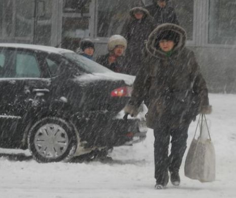 IARNĂ GREA în Bucureşti şi cinci judeţe. Peste 130 de copaci doborâţi de vânt şi 65 de maşini avariate, în ultimele 24 de ore, în Capitală. Zăpada atinge ZECE centimetri