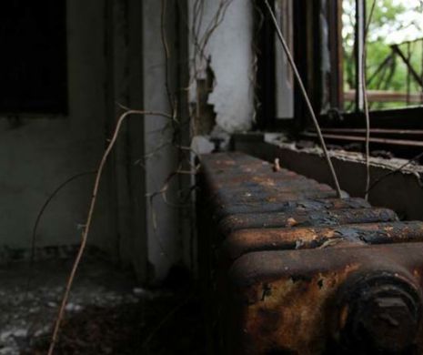 Insula ABANDONATĂ situată la câţiva kilometri de un mare ORAŞ. Locul unde în trecut erau trataţi dependenţii de DROGURI a ajuns acum o RUINĂ | GALERIE FOTO