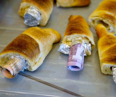 Inventivitatea CONTRABANDIŞTILOR nu cunoaşte limite. Au ascuns lucruri şi fiinţe în locuri inimaginabile | GALERIE FOTO