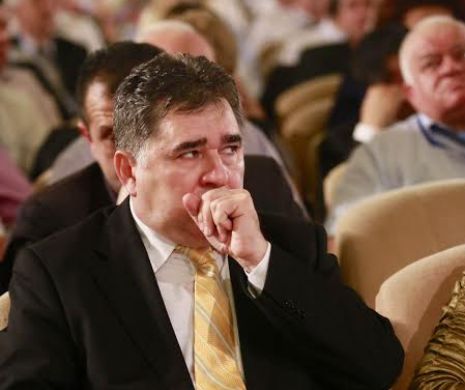 Ioan Ghişe îl susţine pe Tăriceanu în cursa pentru funcţia supremă în stat