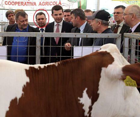 Ministrul Daniel Constantin anunță dezvoltarea cercetării zootehnice, subalternii se pregătesc să o dea la privat