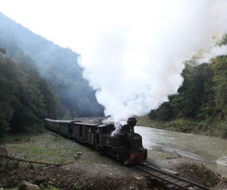 Masca, obligatorie în cel mai puțin așteptat loc. Nu te-ai aștepta să primești amendă aici!