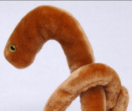 Păpușile Ebola se vând ca pâinea caldă