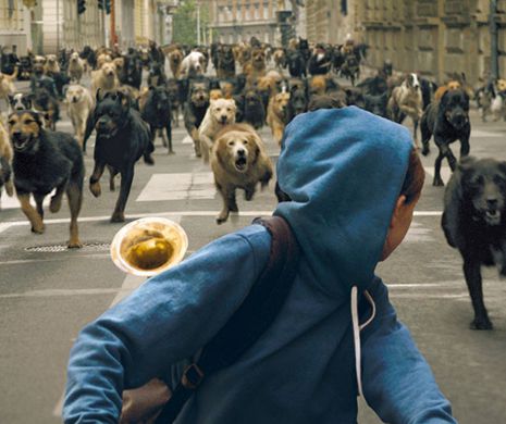 Proiecție pentru oameni și câini - „White God”, în închiderea Les Films de Cannes à Bucarest