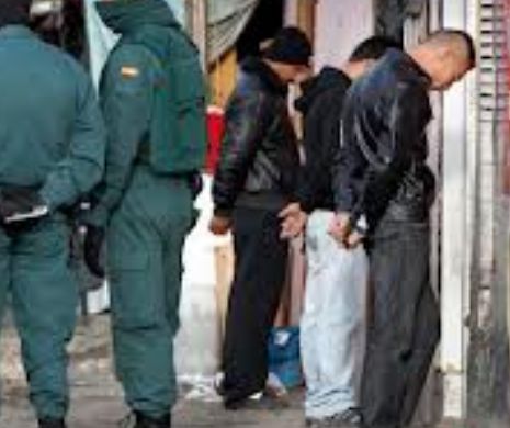 Război între țigani la Toulouse