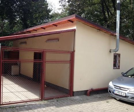 Și-au bătut joc de zeci de mii de euro. Au cumpărat incineratoare, dar ard deșeurile la o firmă privată