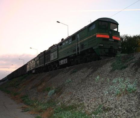 „SPIONUL” din MARFARUL DE RUSIA. Vezi locul CIUDAT în care s-a ascuns un bărbat din Tadjikistan | GALERIE FOTO