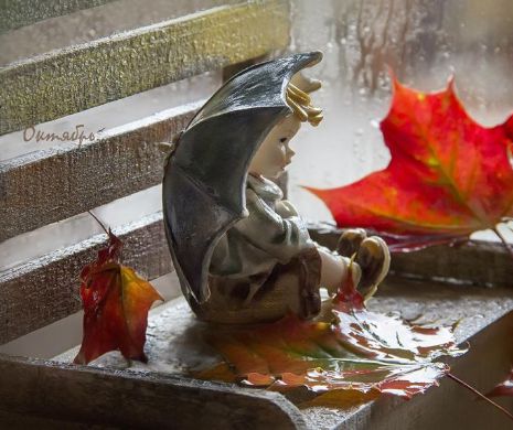 Temperaturi de primăvară şi ploi până la începulul lunii noiembrie. Vezi cum va fi vremea în fiecare regiune a ţării