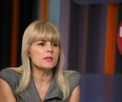 Udrea: Mi se cere să renunț la candidatură. Nu o voi face