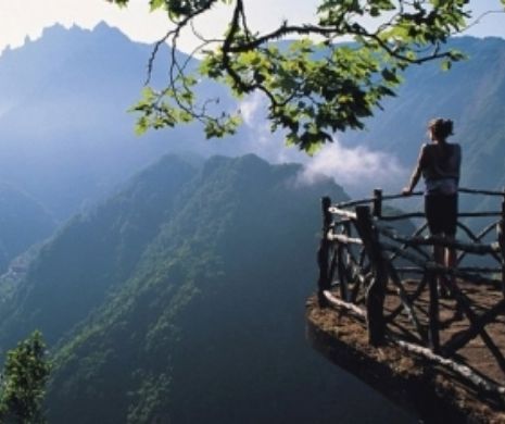 6 artişti pe Insula Eternei Primăveri