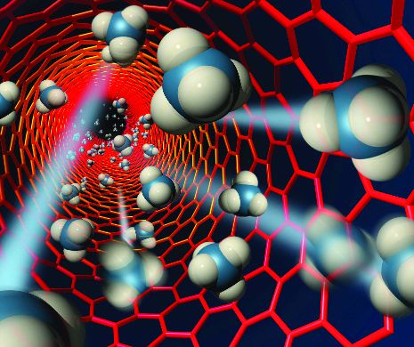 Antidot universal? Bureţii care CURĂŢĂ sângele de toxine au apărut în Nature Nanotechnology