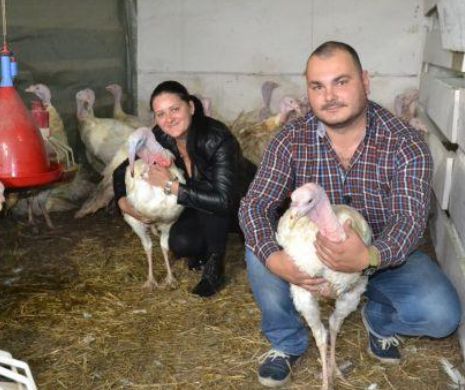 Creșterea curcanilor – răspunsul pe care familia Mertoiu l-a dat la întrebarea: ”În ce afacere să investim 30.000 de euro?”