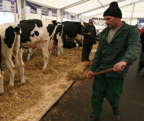 Fonduri EUROPENE în valoare de 13 MILIARDE de EURO pentru AGRICULTURĂ