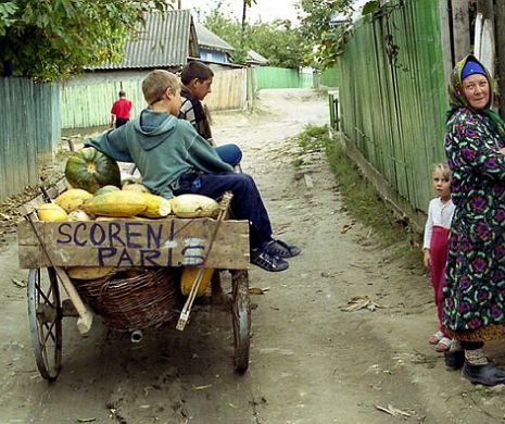 Încă 7 milioane de euro donate de România. 25.000 de familii vor fi asigurate cu cărbuni
