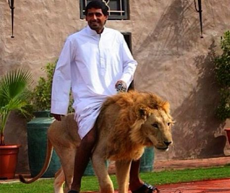 Numai în Dubai vezi aşa ceva: Locul în care felinele se plimbă cu maşina, iar maşina e din aur | GALERIE FOTO
