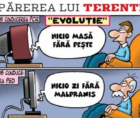Parerea lui Ternete 13.11.2014