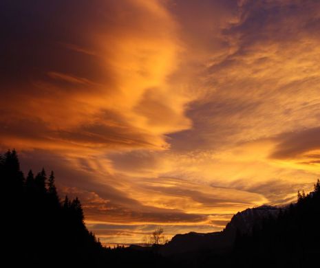 Povestea OCROTITORULUI ROMÂNIEI