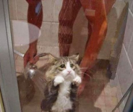 Pur şi simplu fără EXPLICAŢIE. Cel puţin penibil, imagini în care stupiditatea întrece logica | GALERIE FOTO