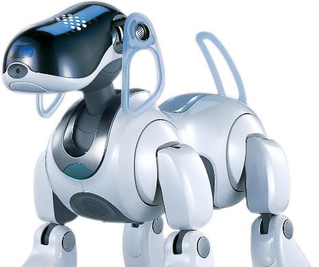 Săracul robot CANIN: A rămas fără "veterinari". Ce se va întâmpla cu el