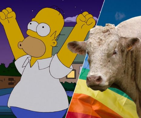 Taurul gay, salvat de la sacrificare: "Benjy a primit cel mai frumos cadou de Crăciun"